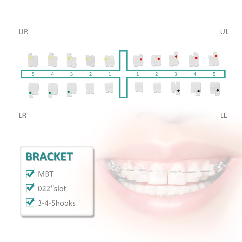 10 Packs Dental Orthodontic Brackets Ceramic Bracket Braces Dental MBT/Roth Bracket 022" Slot 345 With Hook…