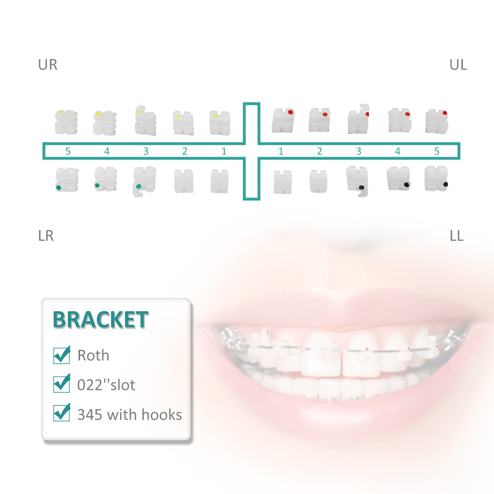 10 Packs Dental Orthodontic Brackets Ceramic Bracket Braces Dental MBT/Roth Bracket 022" Slot 345 With Hook…
