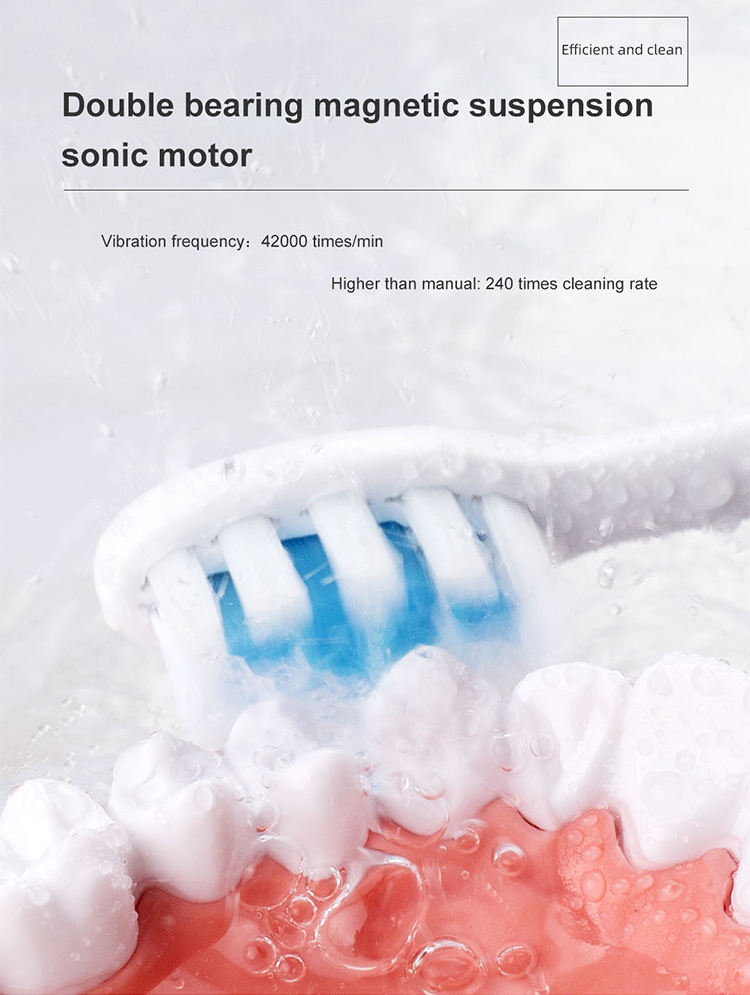 Naturelledent IPX7 Waterproof Rechargeable Automatic Sonic Electric Toothbrush Sonic Oral Care For Adults and Kids