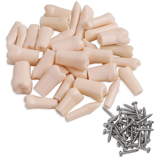 Removable Typodont Teeth for Dental Typodont Teeth Model, Dental Practice and Teaching Replace Detachable Model (28Pcs/Set)