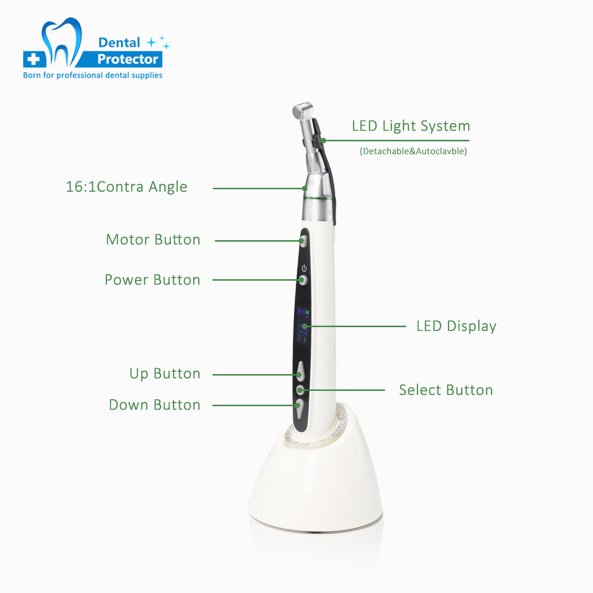 Dental Endo Motor with LED Light Endodontics Treatment & Reciprocation with 9 Program Setting