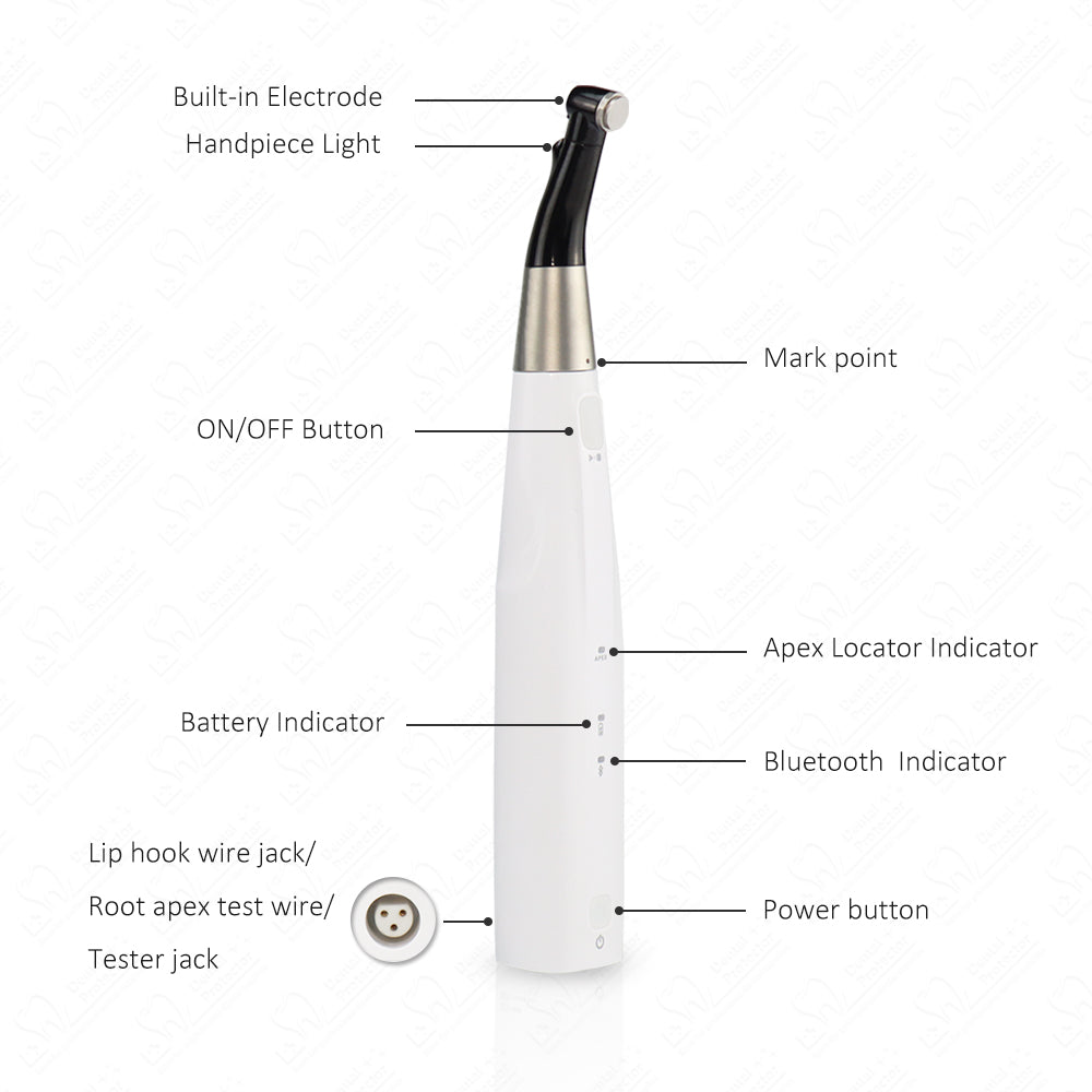 COXO Dental Wireless Bluetooth Endo motor with Apex Locator 2 in 1 C-smart Pilot with 5-inch touch screen ,build-in most of file system