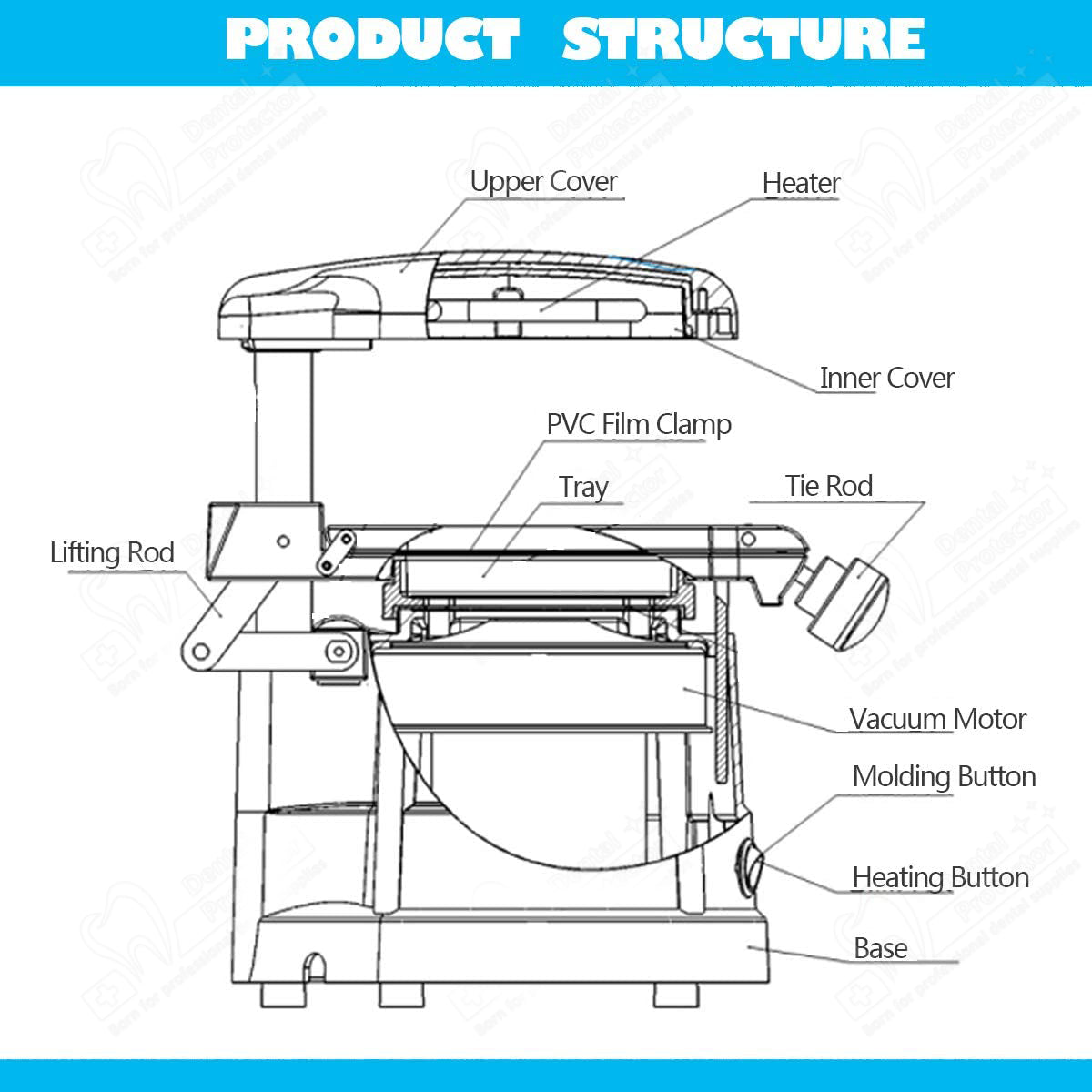 PROTECTOR Dental Vacuum Forming Machine, Laboratory Heat Molding Equipment, Laminating Machine