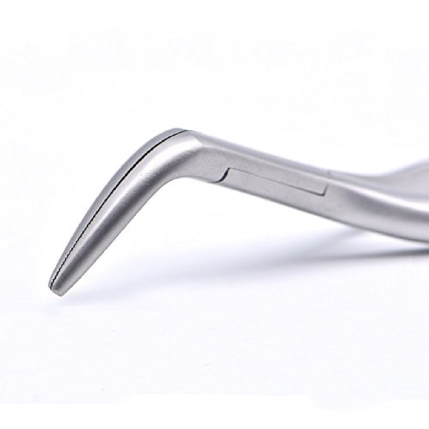 Dental Tooth Extraction Forcep for Root Fragment Minimally Invasive Dental Instrument Curved Forcep