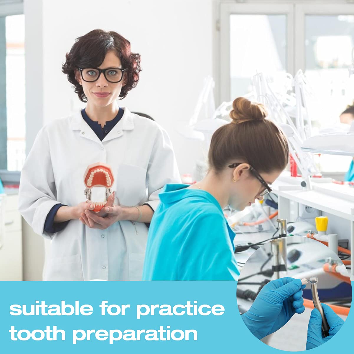 Removable Typodont Teeth for Dental Typodont Teeth Model, Dental Practice and Teaching Replace Detachable Model (28Pcs/Set)