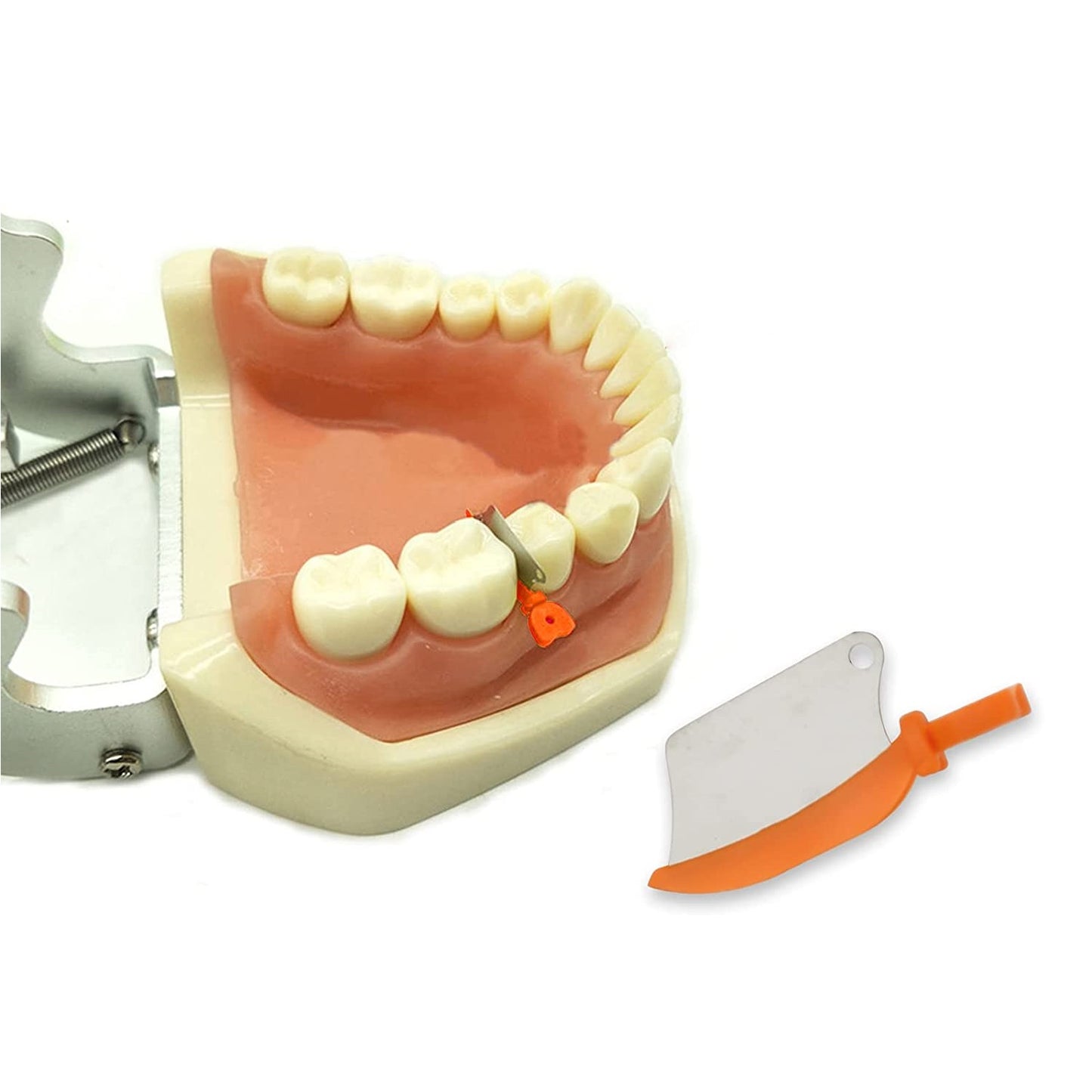 Dental Teeth Interproximal Wedge Guard with Metal Plastic Wedge Knife with Protection Dental Steel Matrix S/M/L 50pcs/pack