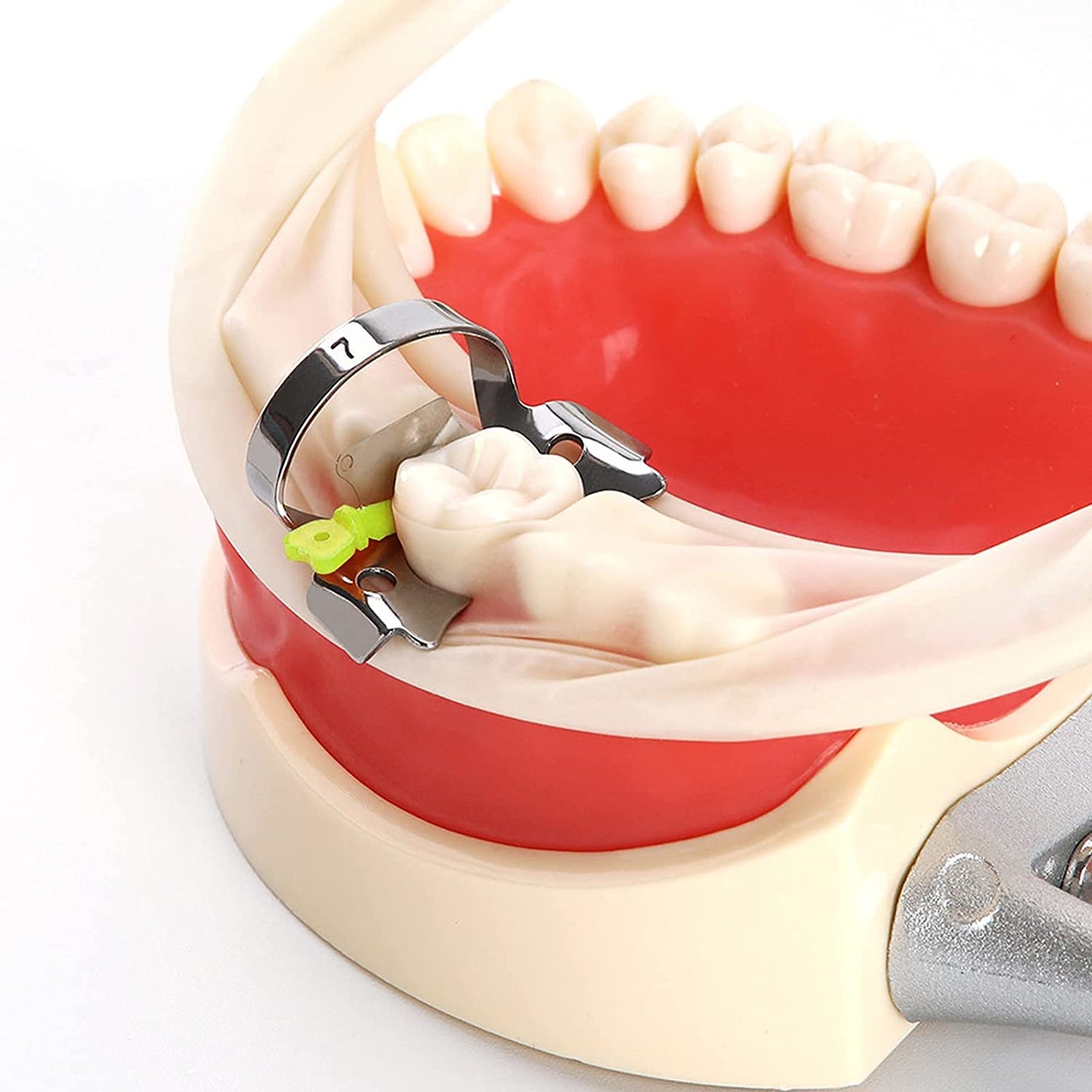 Dental Teeth Interproximal Wedge Guard with Metal Plastic Wedge Knife with Protection Dental Steel Matrix S/M/L 50pcs/pack