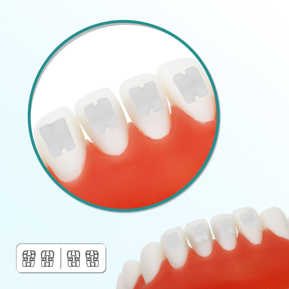 GOB-M022345 10 Packs Dental Orthodontic Brackets Ceramic Braces Bracket Braces Dental MBT Bracket 022" Slot 345 With Hook