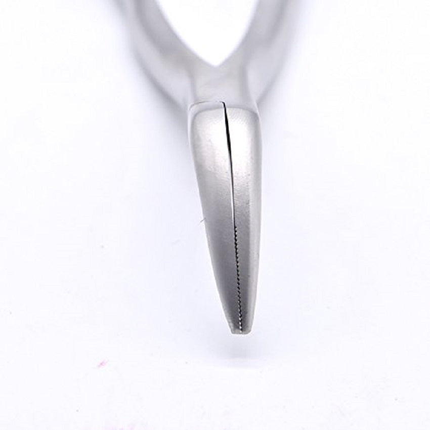 Dental Tooth Extraction Forcep for Root Fragment Minimally Invasive Dental Instrument Curved Forcep