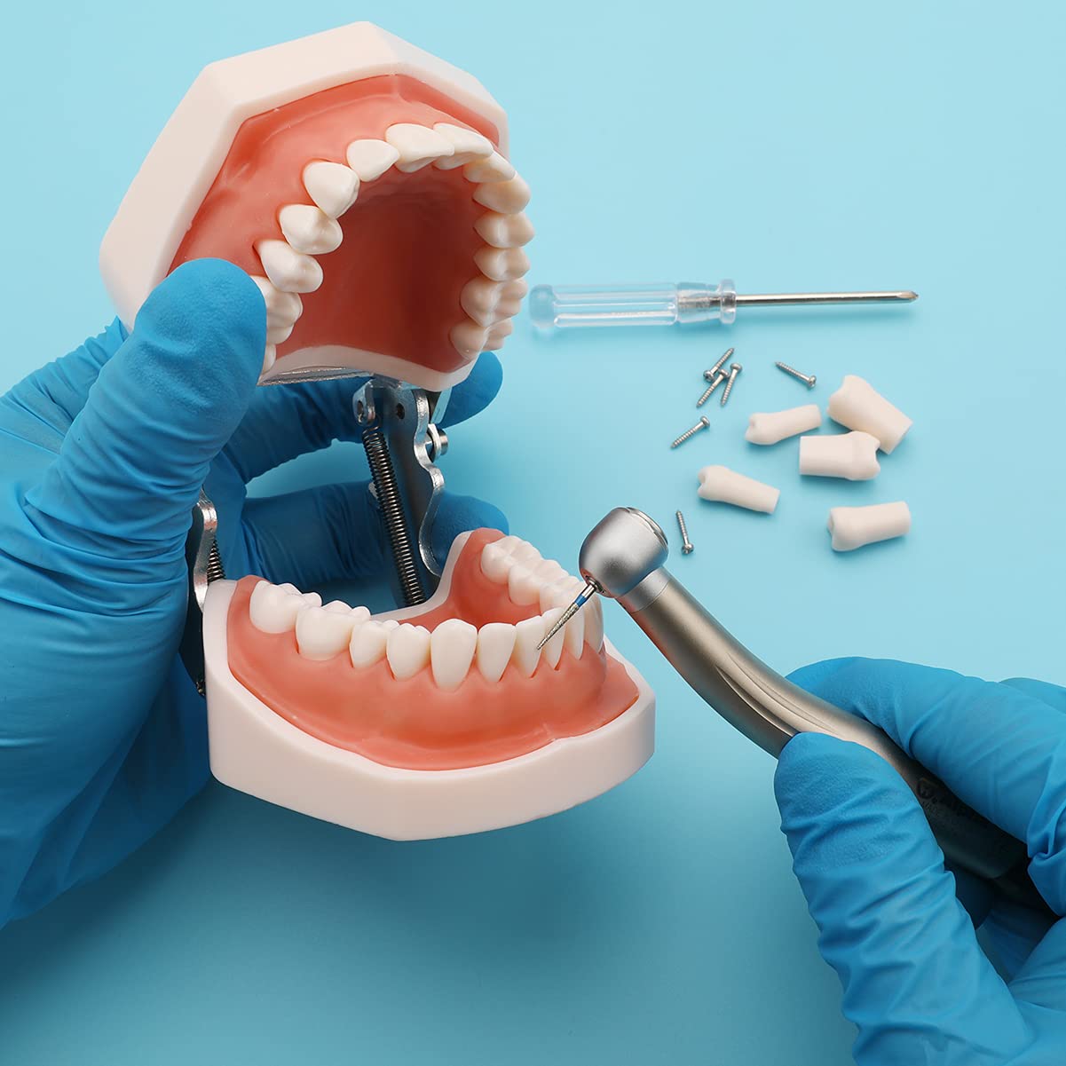 Removable Typodont Teeth for Dental Typodont Teeth Model, Dental Practice and Teaching Replace Detachable Model (28Pcs/Set)