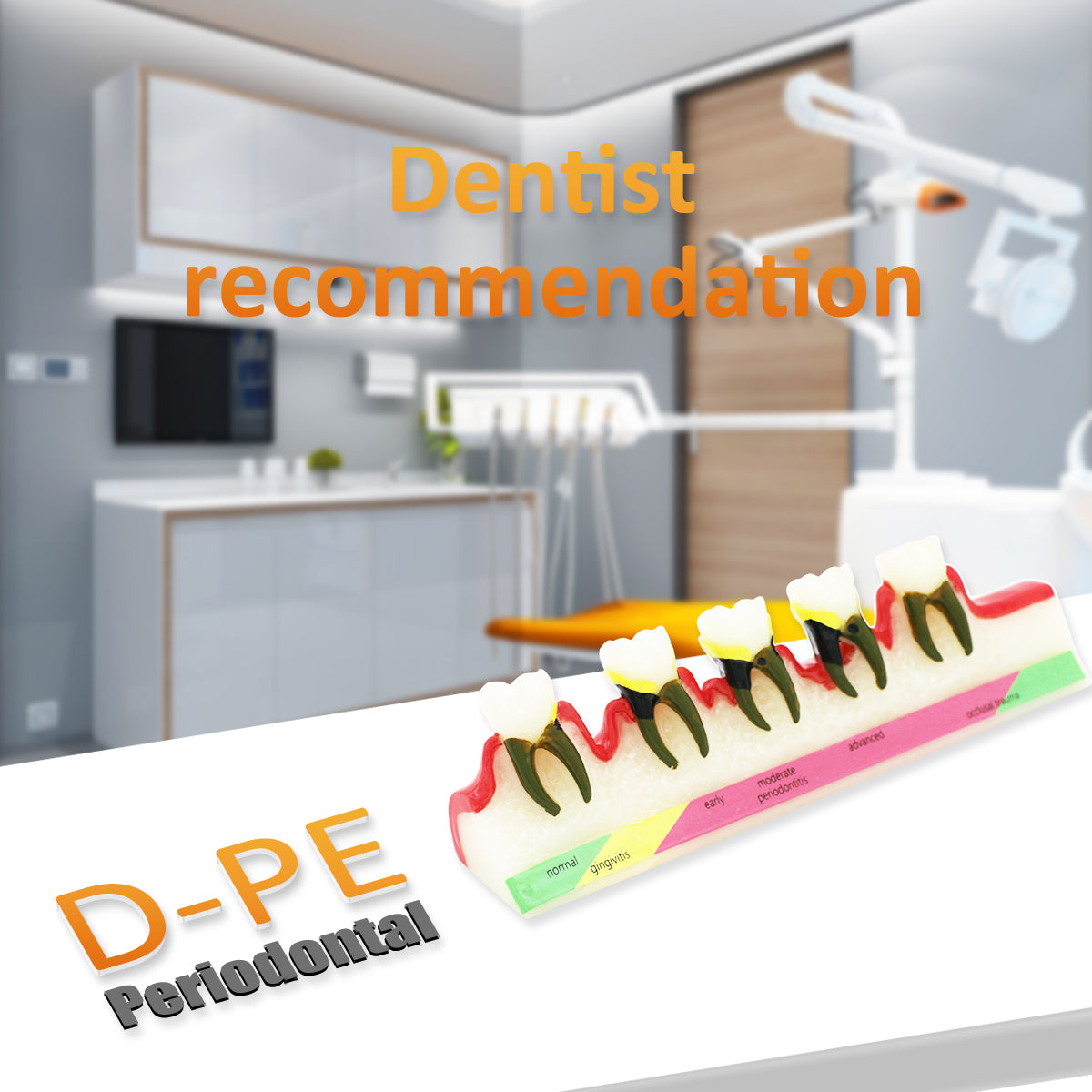 Dental Teeth Model,Transparent Dental Implant Teeth Model Dentist Standard Disease Removable Tooth Pathological Teaching Model(D-PE)