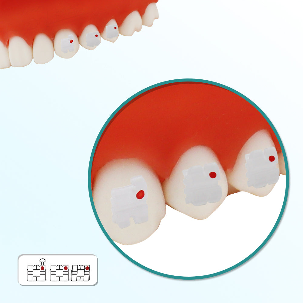 GOB-R0223 10 Packs Dental Orthodontic Brackets Ceramic Braces Bracket Braces Dental Roth Bracket 022"/018" Slot 3 with Hook