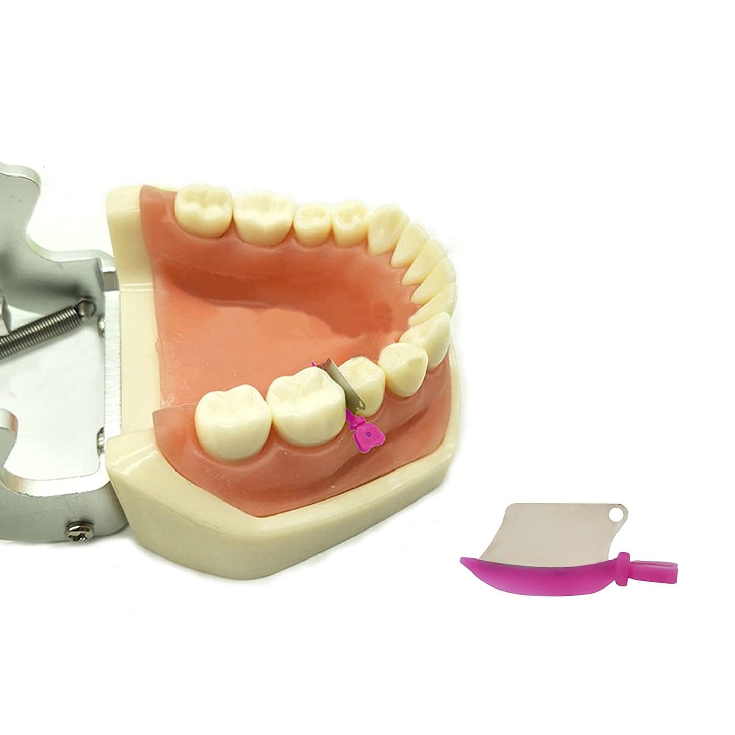 Dental Teeth Interproximal Wedge Guard with Metal Plastic Wedge Knife with Protection Dental Steel Matrix S/M/L 50pcs/pack