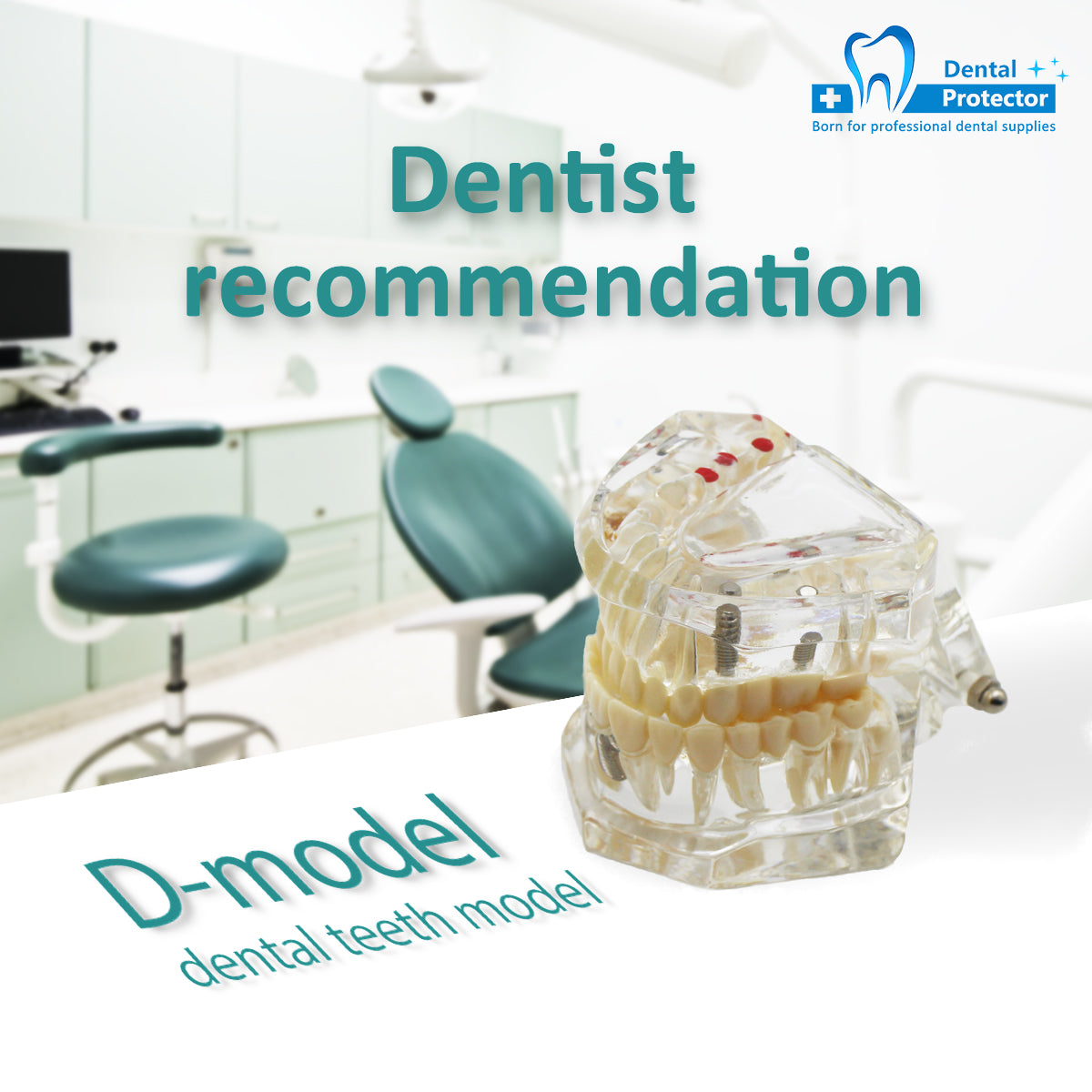 Transparent Disease Teeth Model, YOUYA DENTAL Transparent Dental Implant Teeth Model Dentist Standard Disease Removable Tooth Pathological Teaching Model