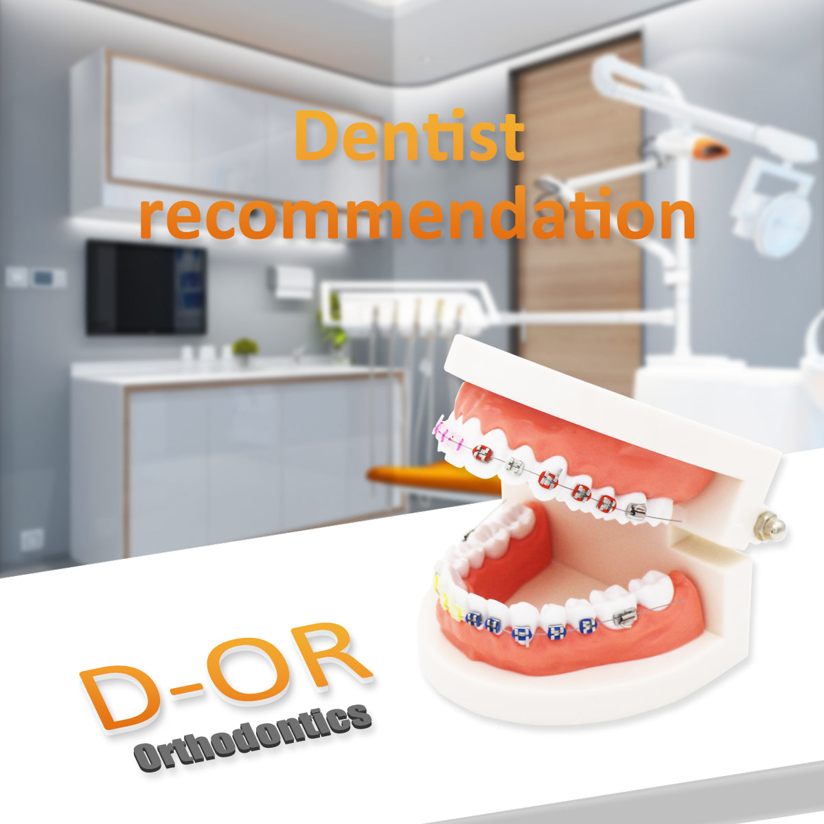 Dental Teeth Model,Transparent Dental Implant Teeth Model Dentist Standard Disease Removable Tooth Pathological Teaching Model (D-OR)