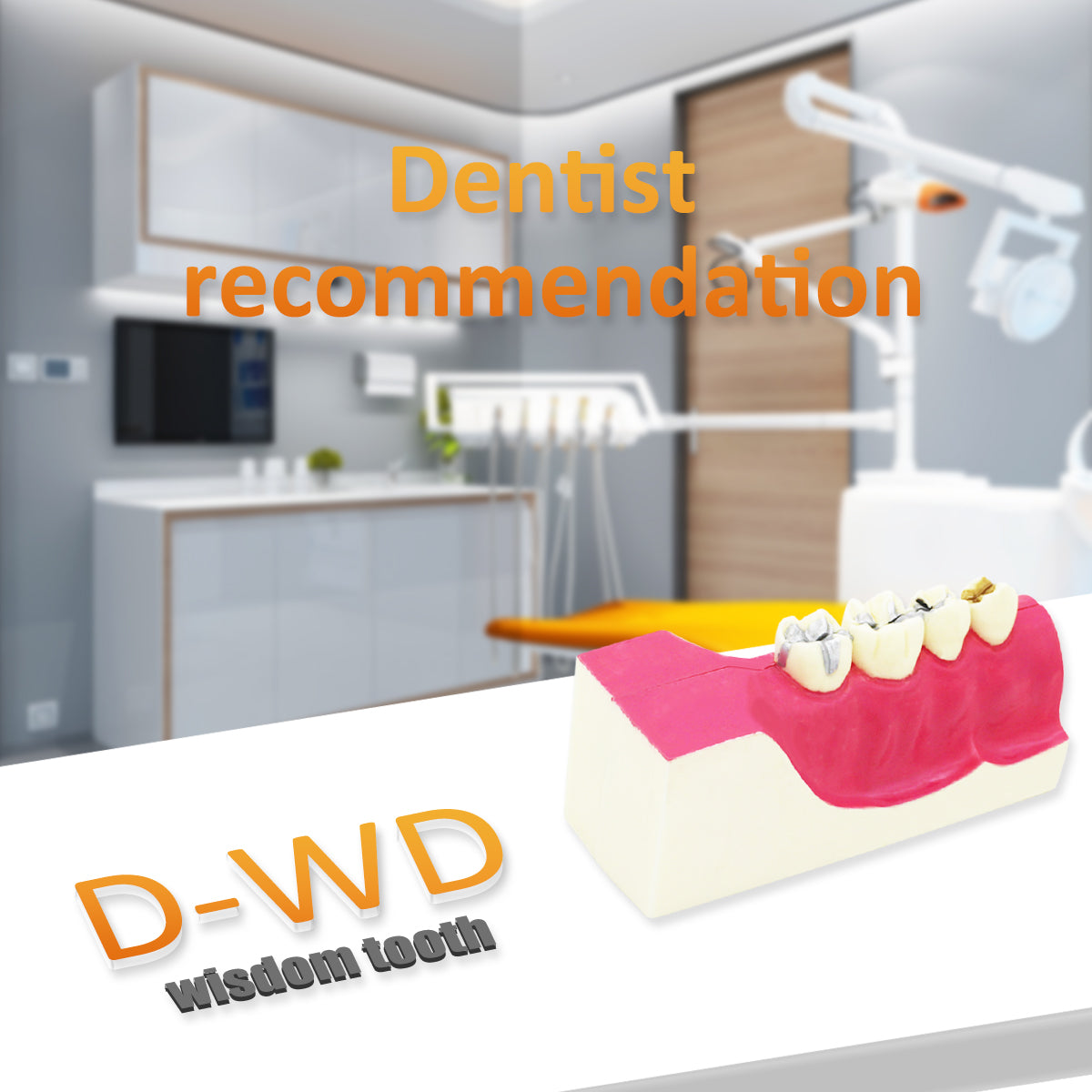Dental Teeth Model,Transparent Dental Implant Teeth Model Dentist Standard Disease Removable Tooth Pathological Teaching Model(D-WD)