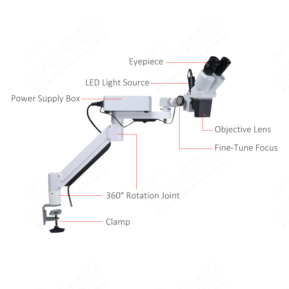 Mscope-1 10X Magnify Dental Binocular Microscope 3w LED Rotatable for Dentists Denture Tool Dental Lab Equipment Microscope Spot Light