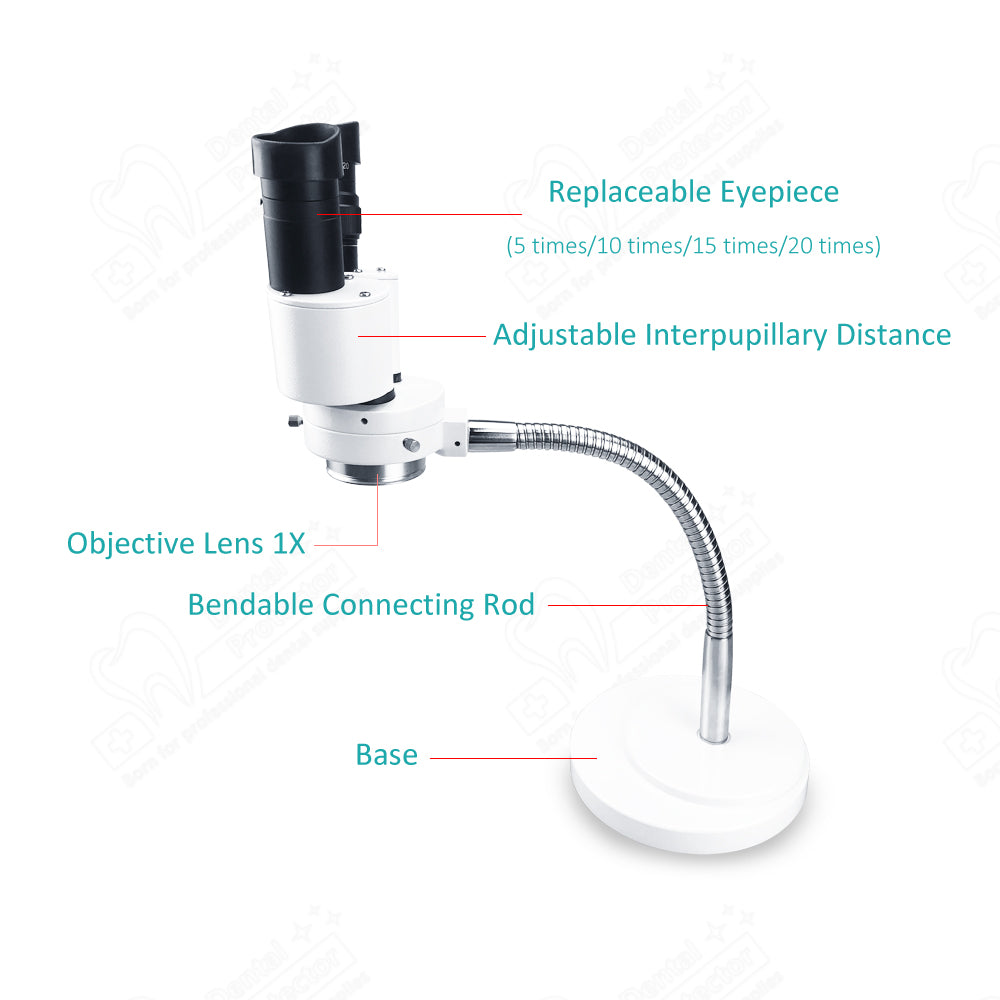 Mscope-3 8X Magnify Dental Binocular Microscope 5W LED Rotatable for Dentists Denture Tool Dental Lab Equipment Microscope Spot Light