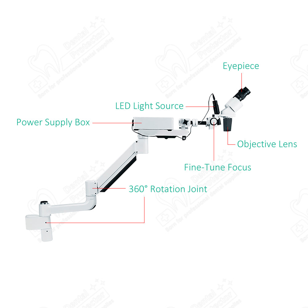 Mscope-4 10X Magnify Dental Binocular Microscope 3W LED Rotatable for Dentists Denture Tool Dental Lab Equipment Microscope Spot Light