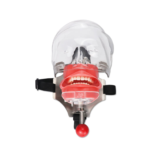 HYG-C6-2 Simple Head Model Dental Simulator Phantom Head for Dentist Education Dentist Teaching /Head Model Phantom for Training Apparatu