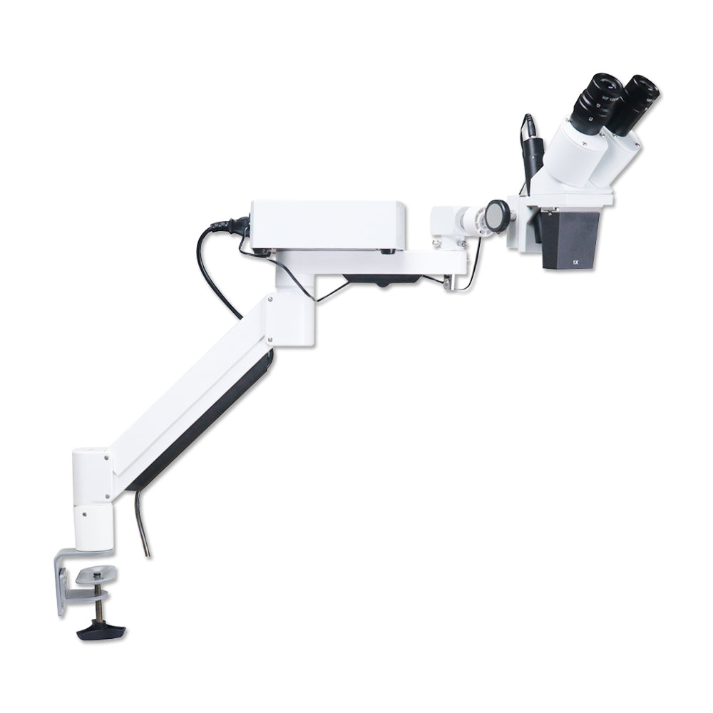 Mscope-1 10X Magnify Dental Binocular Microscope 3w LED Rotatable for Dentists Denture Tool Dental Lab Equipment Microscope Spot Light