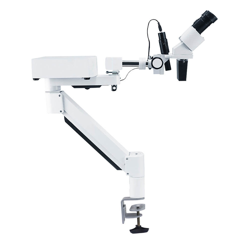 Mscope-1 10X Magnify Dental Binocular Microscope 3w LED Rotatable for Dentists Denture Tool Dental Lab Equipment Microscope Spot Light