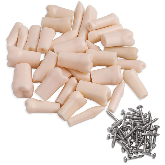 Removable Typodont Teeth for Dental Typodont Teeth Model, Dental Practice and Teaching Replace Detachable Model （28Pcs/Set)