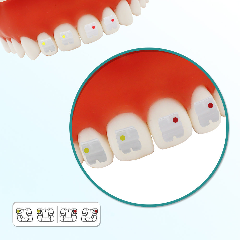 GOB-R0223 10 Packs Dental Orthodontic Brackets Ceramic Braces Bracket Braces Dental Roth Bracket 022"/018" Slot 3 with Hook