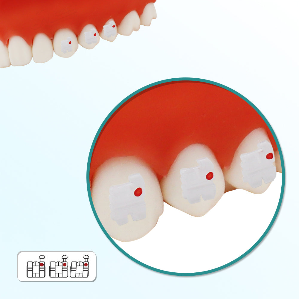 GOB-M022345 10 Packs Dental Orthodontic Brackets Ceramic Braces Bracket Braces Dental MBT Bracket 022" Slot 345 With Hook