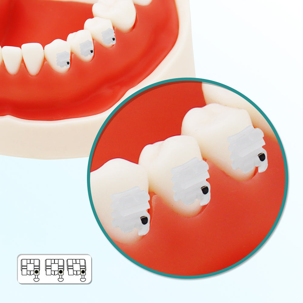 GOB-M022345 10 Packs Dental Orthodontic Brackets Ceramic Braces Bracket Braces Dental MBT Bracket 022" Slot 345 With Hook
