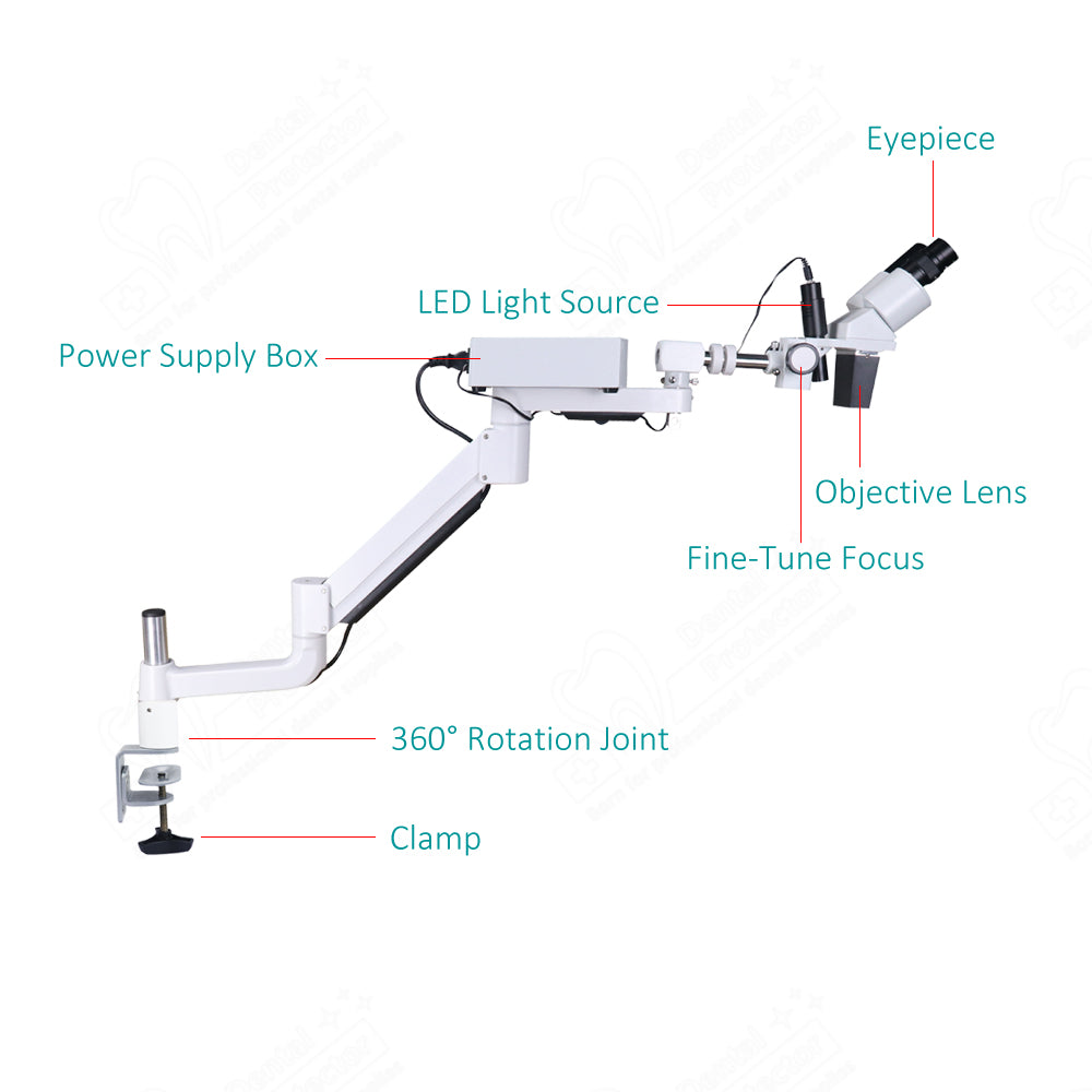 Mscope-1s 10X Magnify Dental Binocular Microscope 3W LED Rotatable for Dentists Denture Tool Dental Lab Equipment Microscope Spot Light