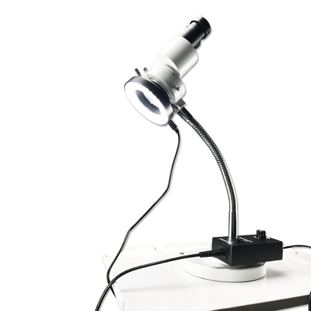 Mscope-3 8X Magnify Dental Binocular Microscope 5W LED Rotatable for Dentists Denture Tool Dental Lab Equipment Microscope Spot Light