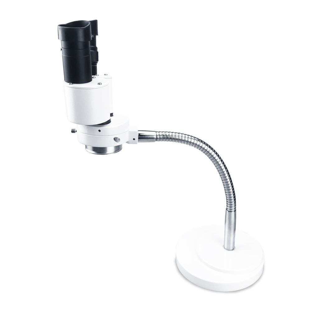 Mscope-3 8X Magnify Dental Binocular Microscope 5W LED Rotatable for Dentists Denture Tool Dental Lab Equipment Microscope Spot Light